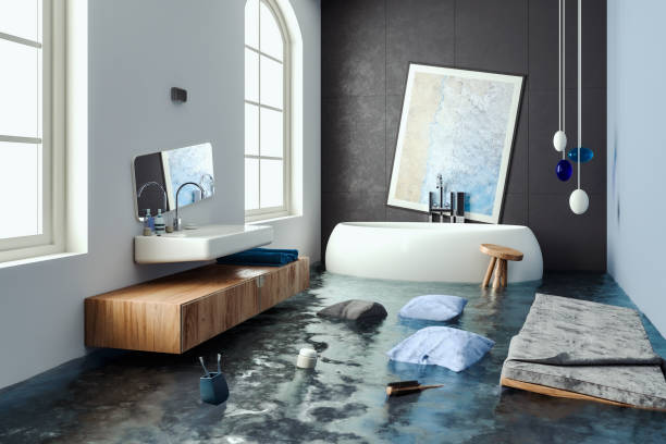 Best Water damage restoration experts  in Lithonia, GA