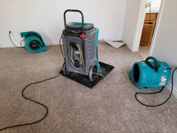 Best Carpet water damage restoration  in Lithonia, GA