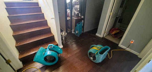 Best Flood restoration services  in Lithonia, GA