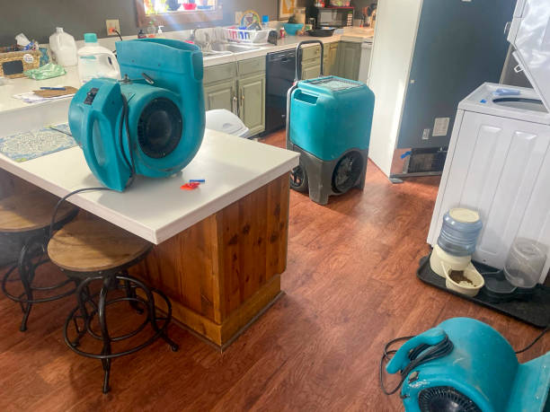 Best Local water damage restoration  in Lithonia, GA