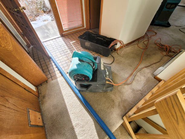 Best Water damage repair service  in Lithonia, GA
