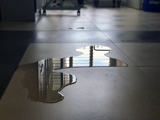 Best Water damage restoration near me  in Lithonia, GA