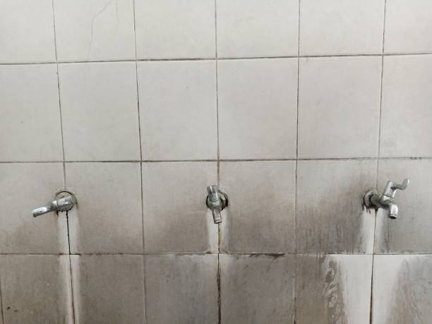 Best Professional water damage repair  in Lithonia, GA