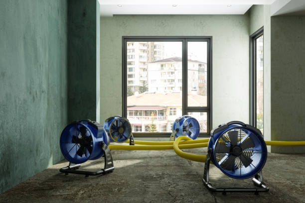 Best Flood restoration services  in Lithonia, GA